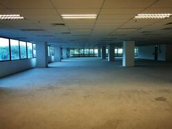 Bendemeer Road (D12), Office #570942441